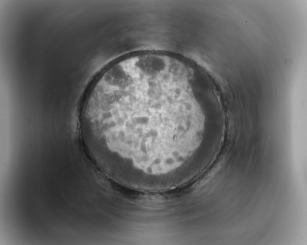 X0000094211215200711091231