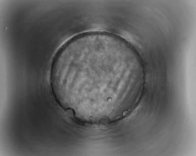 X0000094211216200711091231
