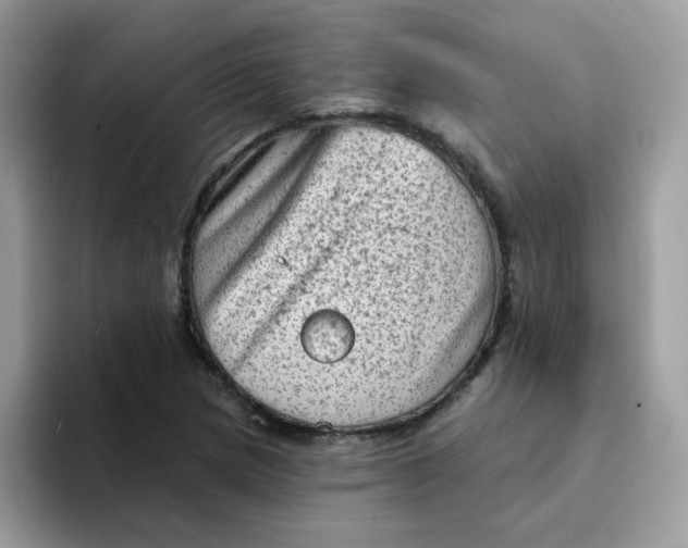 X0000094211217200711091231
