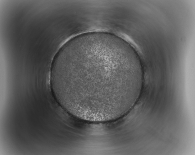X0000094211220200711091231