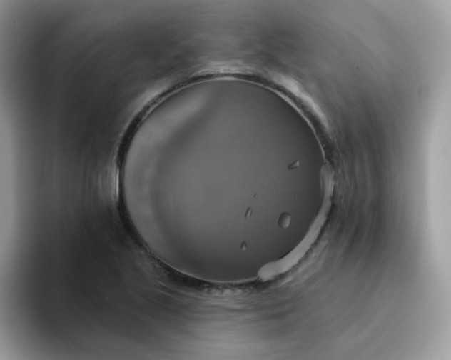 X0000094211221200711091231