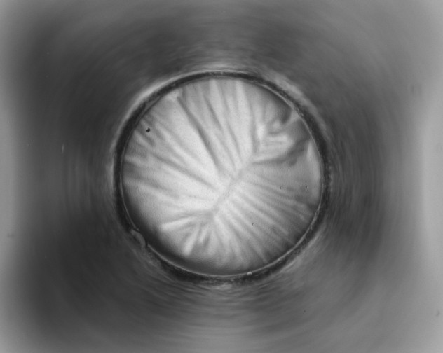 X0000094211222200711091231