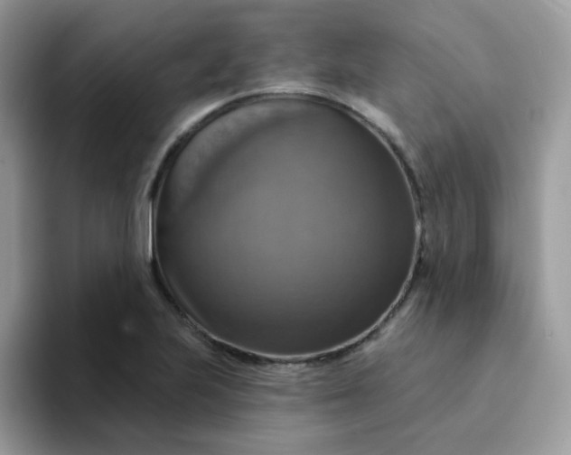 X0000094211223200711091231