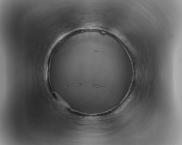 X0000094211224200711091231