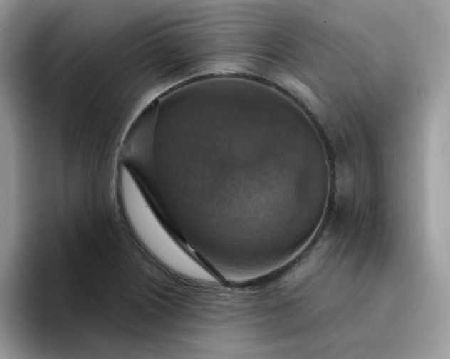 X0000094211226200711091231