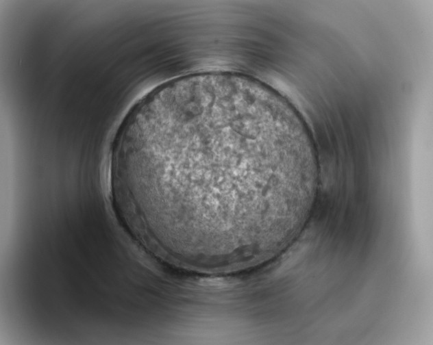 X0000094211227200711091231