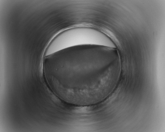 X0000094211228200711091231
