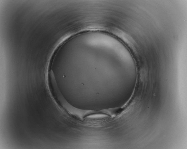 X0000094211229200711091231