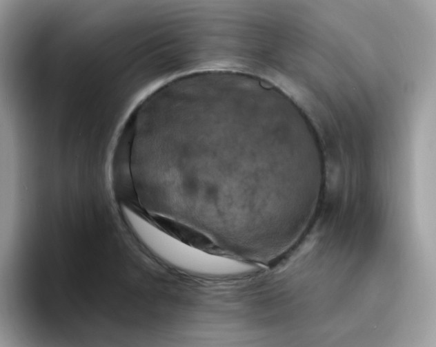 X0000094211230200711091231