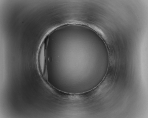 X0000094211231200711091231