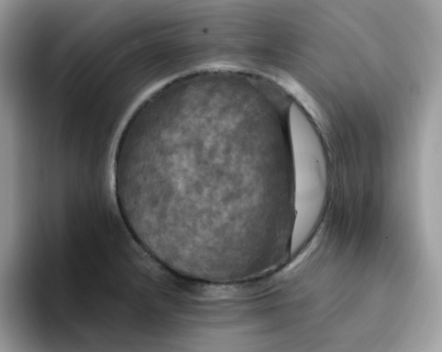 X0000094211232200711091231