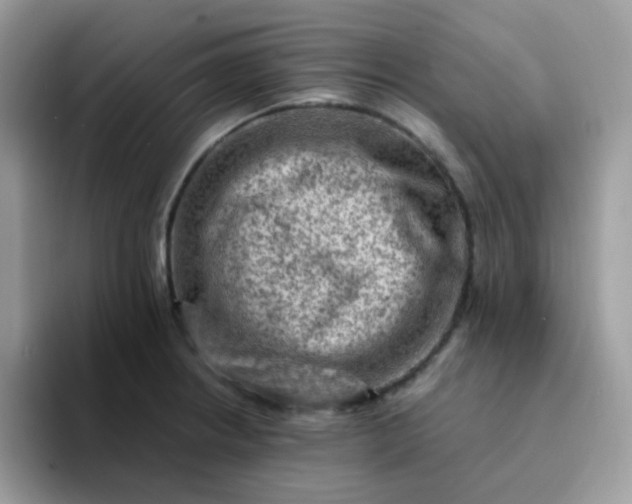 X0000094211234200711091231