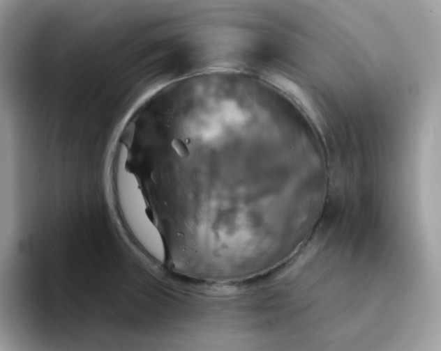 X0000094211235200711091231