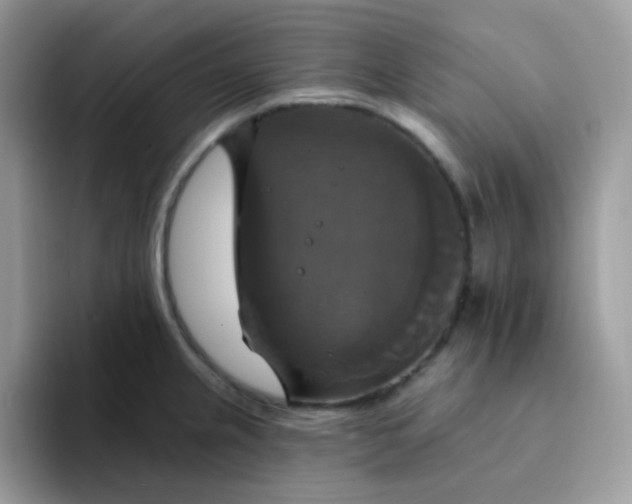 X0000094211237200711091231