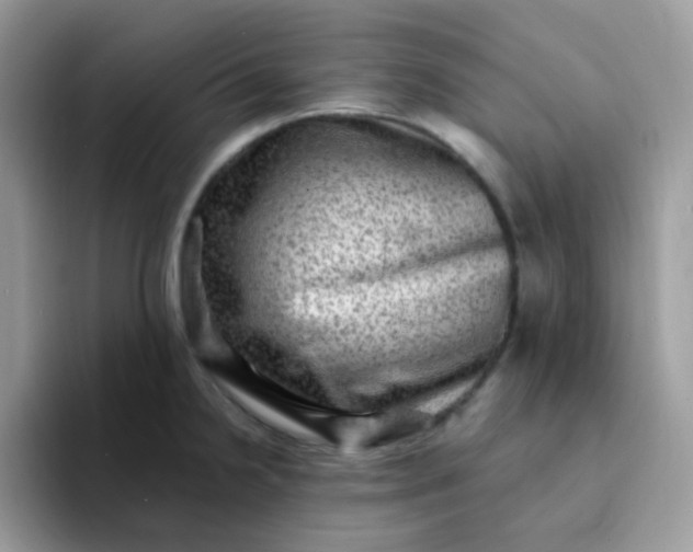 X0000094211238200711091231