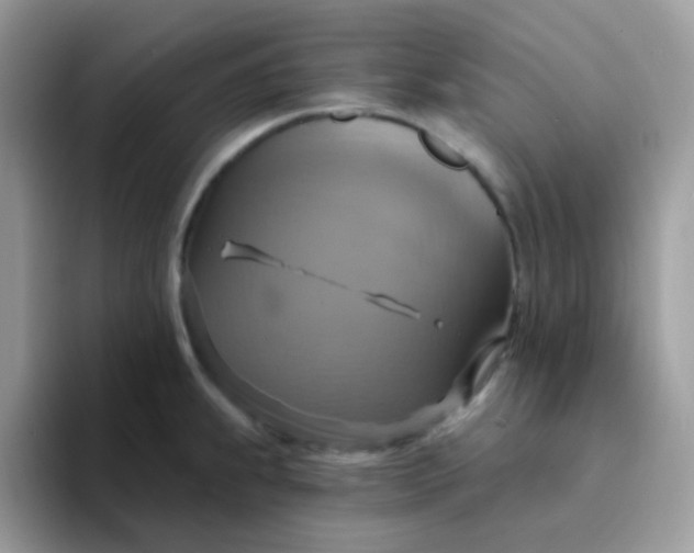 X0000094211239200711091231