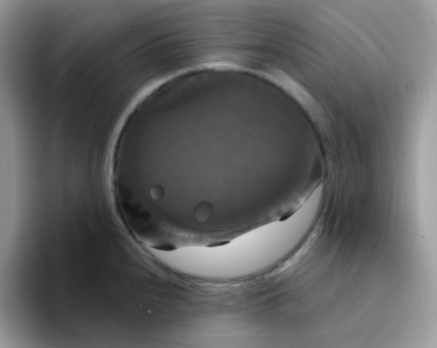 X0000094211240200711091231