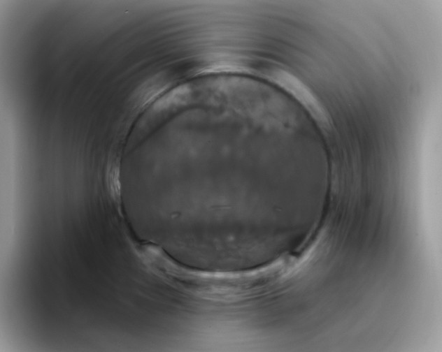 X0000094211241200711091231