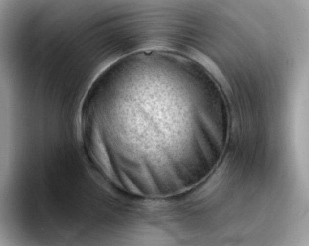 X0000094211242200711091231