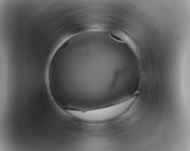X0000094211243200711091231