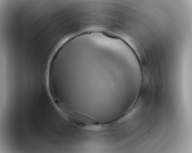X0000094211245200711091231