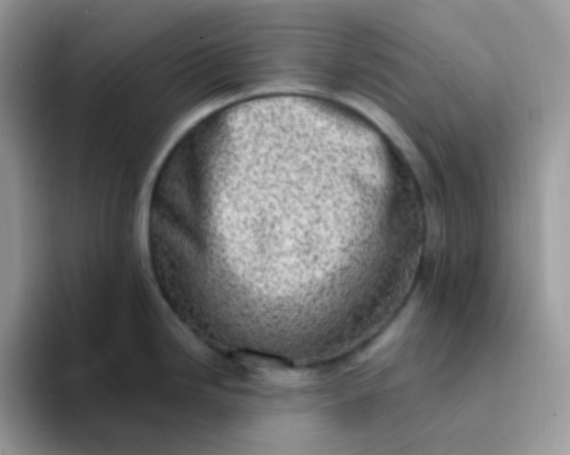 X0000094211246200711091231