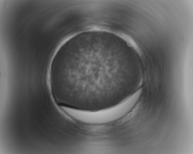 X0000094211247200711091231