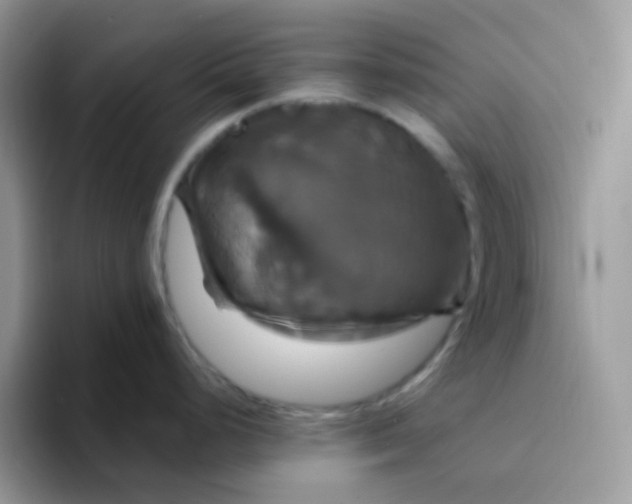 X0000094211248200711091231