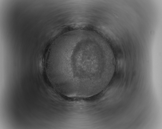 X0000094211250200711091231