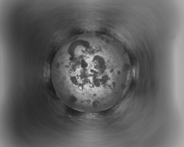 X0000094211251200711091231