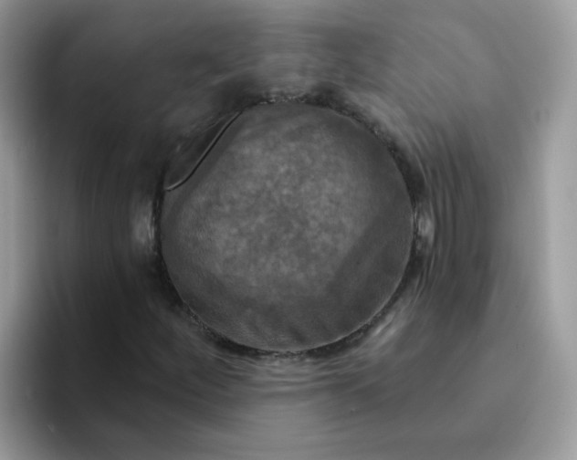 X0000094211252200711091231