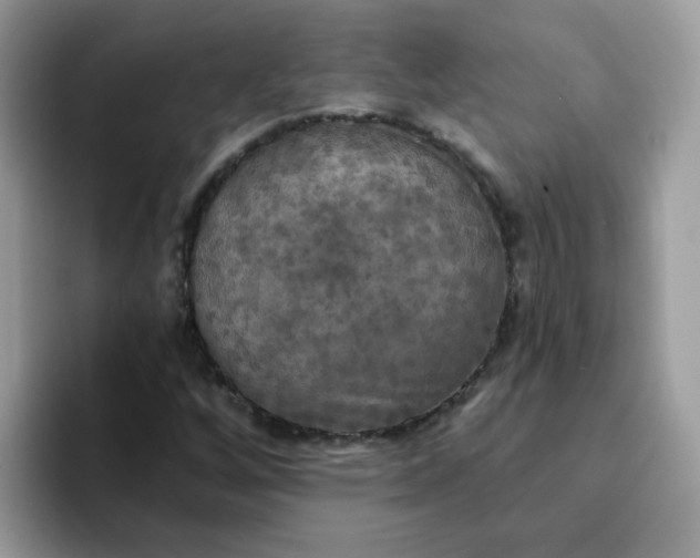 X0000094211256200711091231