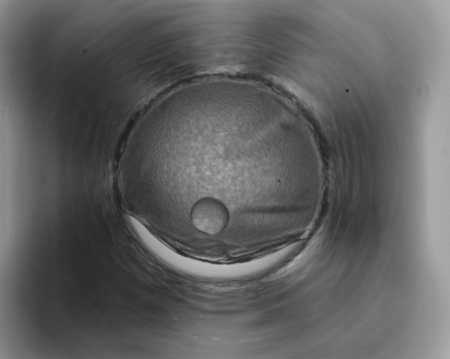X0000094211257200711091231