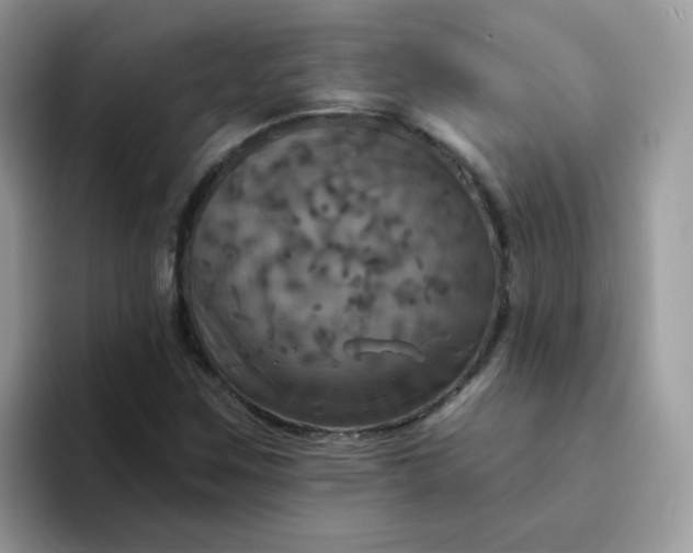 X0000094211259200711091231