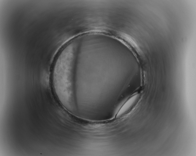 X0000094211260200711091231