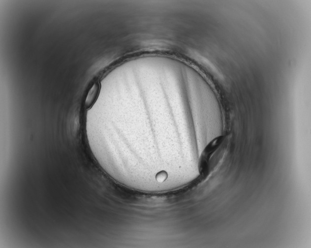 X0000094211261200711091231