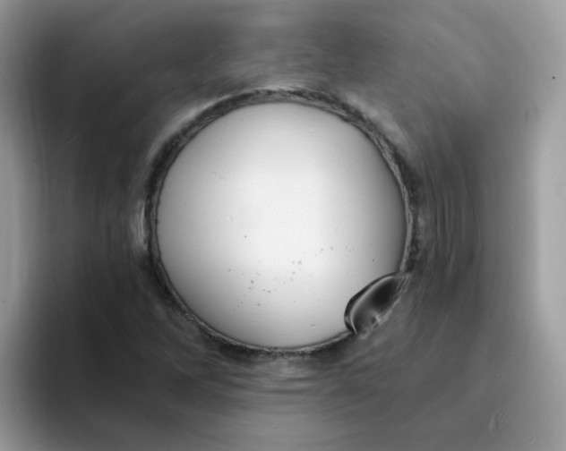 X0000094211262200711091231
