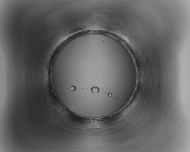 X0000094211263200711091231
