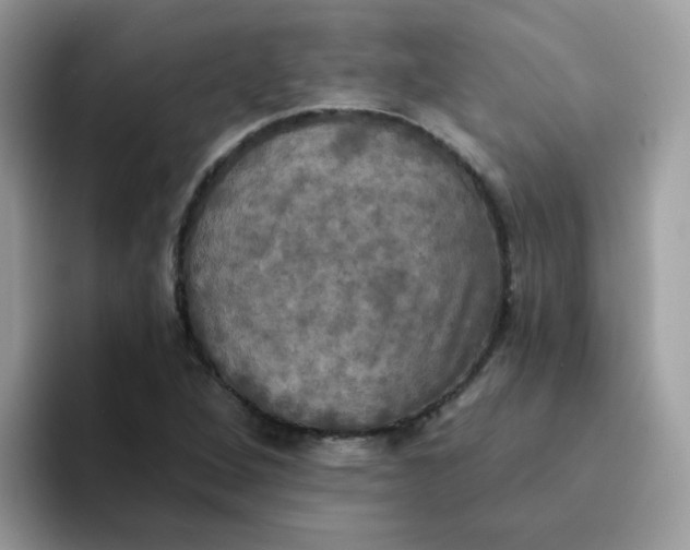 X0000094211264200711091231