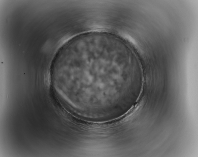 X0000094211267200711091231