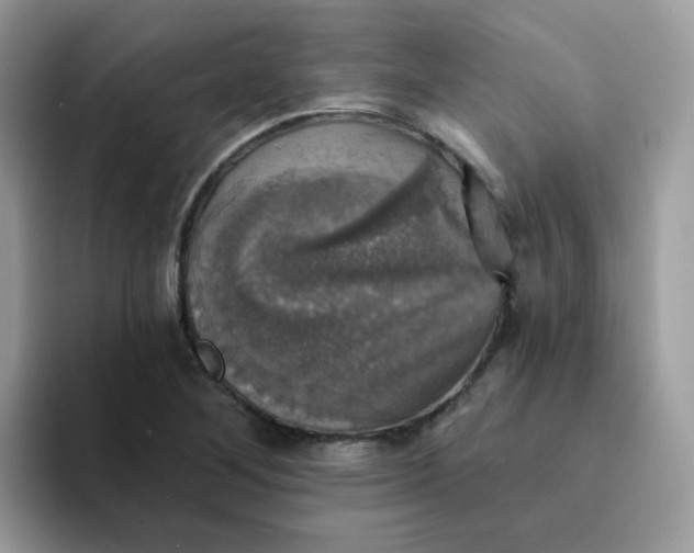 X0000094211268200711091231