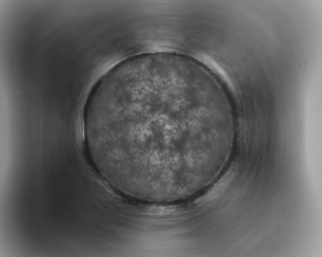 X0000094211269200711091231
