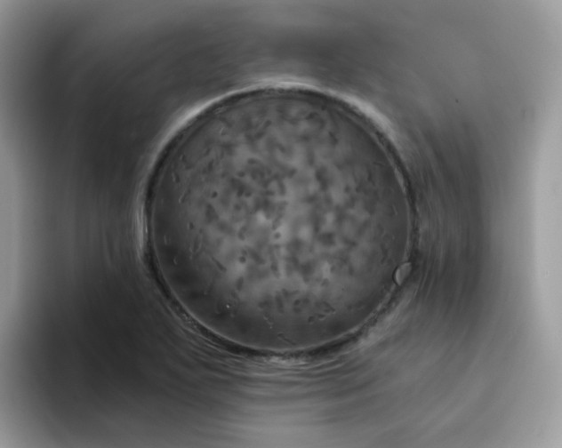X0000094211271200711091231