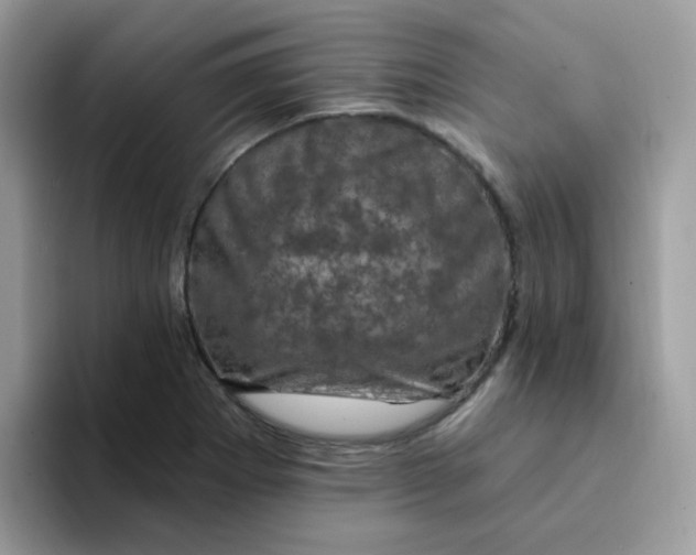X0000094211273200711091231