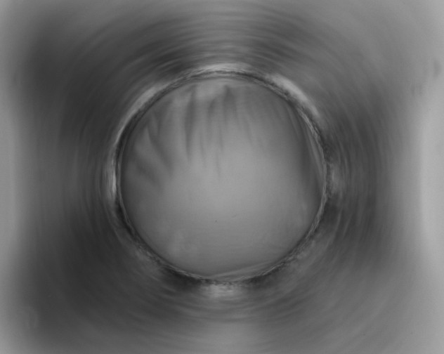 X0000094211274200711091231