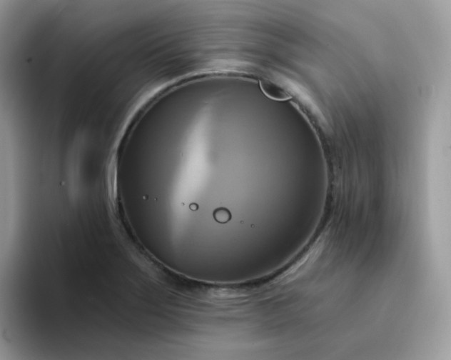X0000094211275200711091231