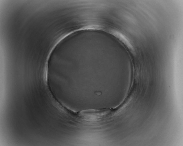 X0000094211276200711091231