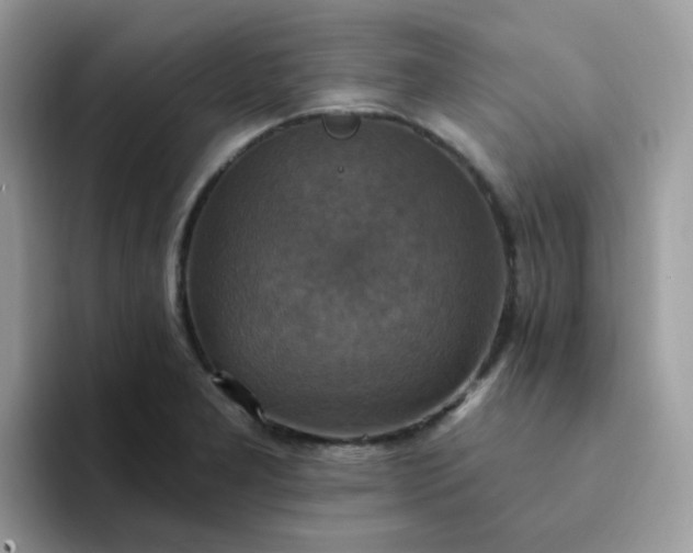 X0000094211277200711091231