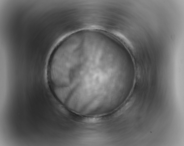 X0000094211278200711091231