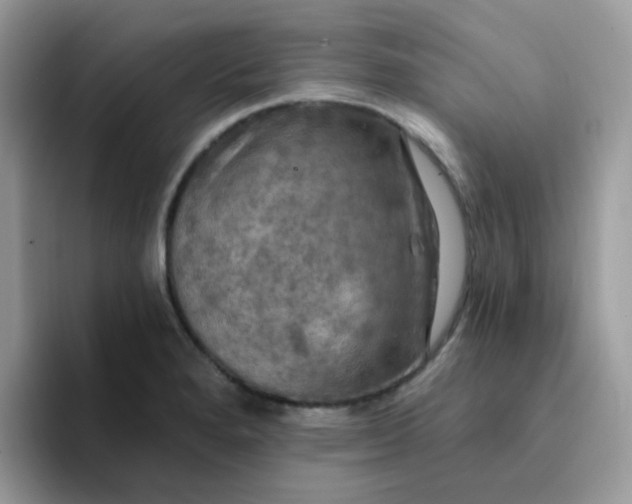 X0000094211280200711091231